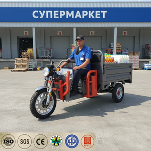 Triciclo Eléctrico <span class=keywords><strong>de</strong></span> 3 Ruedas para Carga y <span class=keywords><strong>Transporte</strong></span> <span class=keywords><strong>de</strong></span> Pasajeros, Motocicleta para Adultos, Uso Agrícola, Doméstico y en Granjas, Homologado por la CEE para <span class=keywords><strong>Europa</strong></span> - Product Image 1