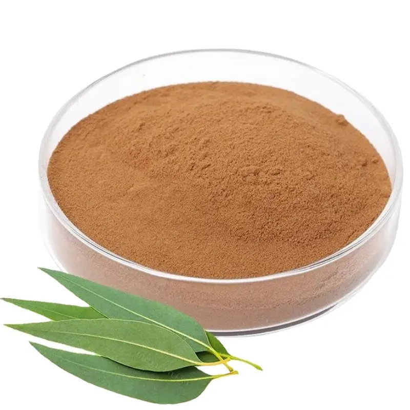 Supply Food additives plant extract eucayptus leaf extract eucalyptus extract powder