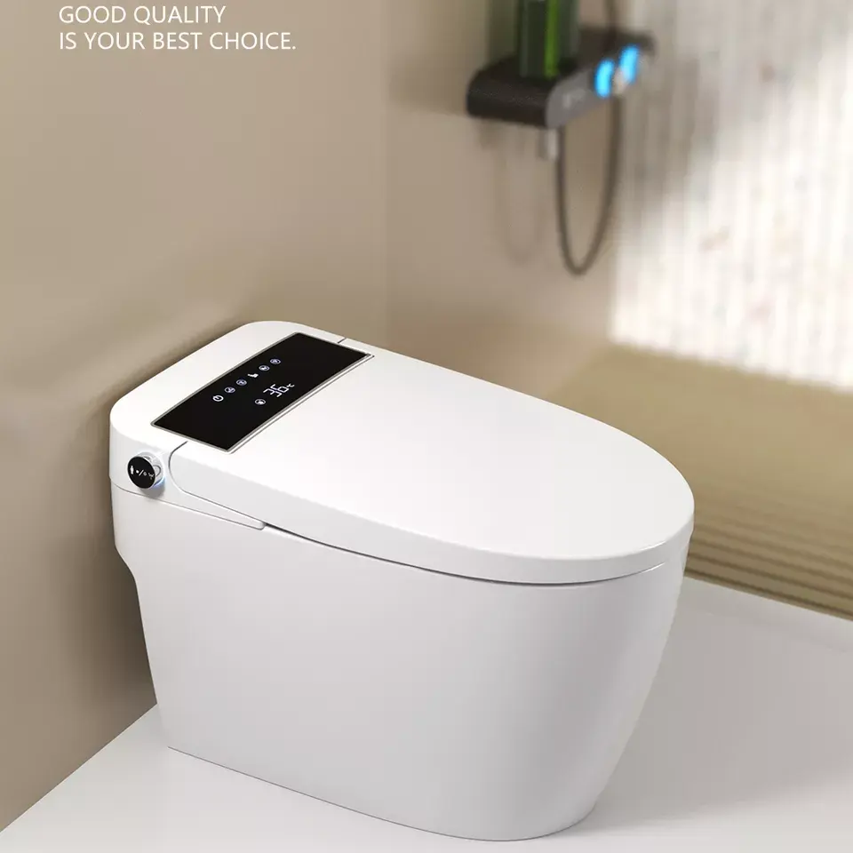 Bagno sanitari Auto lavaggio automatico acqua nebulizzatore Smart wc dimensioni bagno emorroidi elettrico bagno toilette comodo