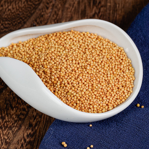 Semillas de <span class=keywords><strong>Mostaza</strong></span> Secas Naturales, Sin Azufre, Especias para Kimchi e Ingredientes Herbales, Salsa de <span class=keywords><strong>Mostaza</strong></span> y Suplementos Dietéticos - Product Image 3