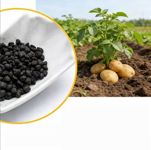 Humate de potassium et acide humique en gros pour l'agriculture – Humate de potassium minéral dérivé, granulés irréguliers - Product Image 3