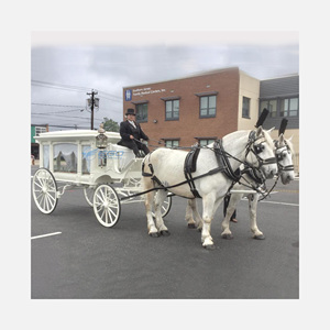 Oferta Especial: Carroza Fúnebre de Lujo Personalizada Directo de Fábrica - Remolque para Coche Fúnebre, Camión Fúnebre, Carroza para Caballos - Product Image 1
