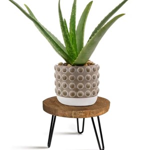 Cross-border wooden flower pot shelf, ornament, round wooden <b>stool</b>, succulent flower pot decorative base, <b>bathroom</b> storage - Product Image 3