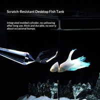 Mini aquarium de bureau à eau douce avec lumière LED multicolore changeante pour la décoration de la maison et du bureau