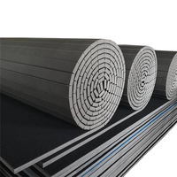 Tapis d'entraînement en mousse XPE pour Judo, Karaté, Taekwondo, MMA, Grappling, Aikido, écologiques, antidérapants, souples, légers, de haute qualité, 4 cm d'épaisseur, en rouleau