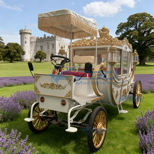 Charrette royale électrique de tourisme Xuchang, élégante et de haute qualité, en acier, type chariot à chevaux - Product Image 6