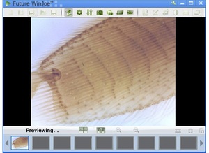 2.0Mp 40x và 240x xách tay cầm tay USB kính hiển vi kỹ thuật số với chức năng đo lường Trường Giáo Dục bằng một mắt kính hiển vi - Product Image 5
