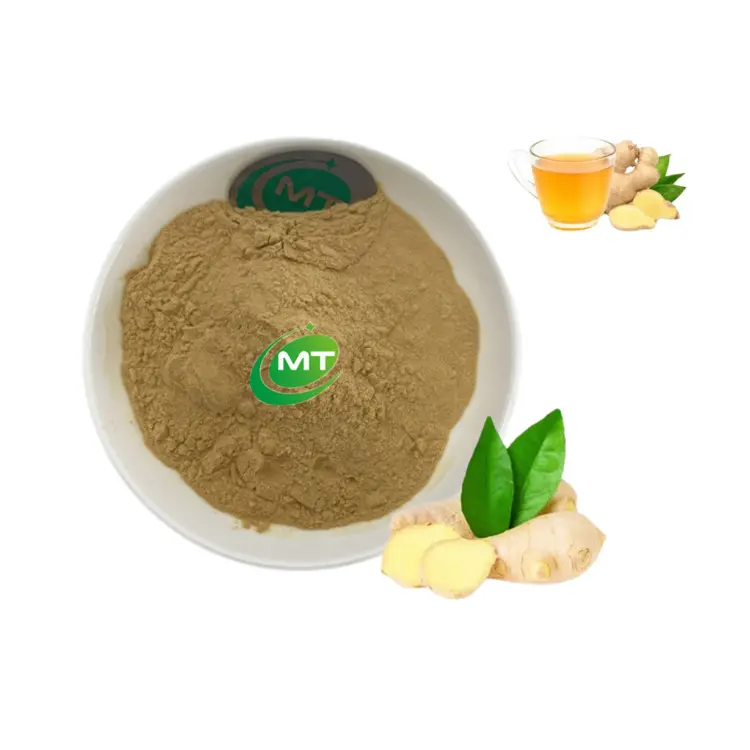 High Quality Factory Supply Free Sample Organic Natural Ginger Root Extract Powder