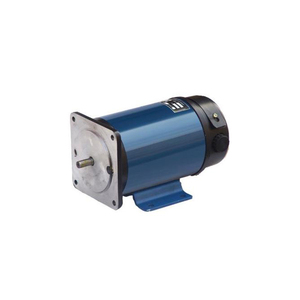 มอเตอร์ไฟฟ้ากระแสตรงแบบแปรงถ่าน 150w 200w 400w 500w 550w 24v 36 โวลต์ 48v 90v - Product Image 3