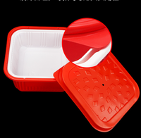Boîte à lunch auto-chauffante en plastique PP, pièces, vente en gros, boîte avec sachet chauffant pour aliments jetables