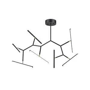 美国热销CE ROSH新设计现代羽绒现代灯led天花板