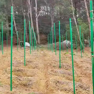 Agricultural Hollow Passion Fruit Garden Support <b>Rod</b> FRP Material Glass Fiber Tube Customizable Cutting for Tree Vegetable - Product Image 5