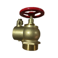 Unique en laiton bouche d'incendie intérieure vanne SNS6565 (afrique du sud type bouche d'incendie. 3 pouces)