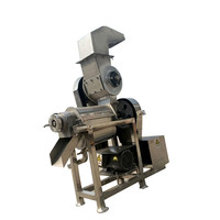 Industriële Spiraalvormige Spinazie Grapefruit Juicer Machine Sinaasappelperensap Maken Machine