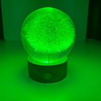 Lampe en résine en forme de fleurs de pissenlit, boule de cristal, veilleuse LED, base en bois, éclairage doux et coloré, gravure 3D, objet de collection de Noël