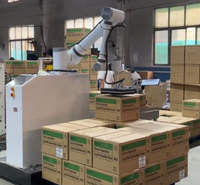 Systèmes de palettisation Machine de palettisation automatique pour sac, carton, conteneur, bouteilles d'eau