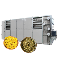 Équipement de séchage à bande maillée pour chrysanthèmes et chèvrefeuilles, machine de séchage à bande maillée pour champignons de Paris