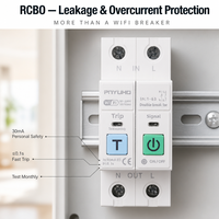 Interrupteur intelligent WiFi industriel 2P en cuivre avec compteur d'énergie MCB 63A, disjoncteur miniature, surveillance kWh, relais temporisé, montage sur rail DIN en plastique