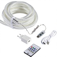 Guirlandes lumineuses LED néon tressées 5V, alimentées par USB/WiFi, contrôlées par application, indice de protection IP65, 30 LED/m, synchronisation musicale, matériau en peluche enveloppé, festivals