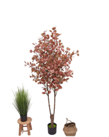 Arbre d'eucalyptus artificiel en plastique rectangulaire moderne avec un design élégant pour la maison, le bureau et la décoration intérieure
