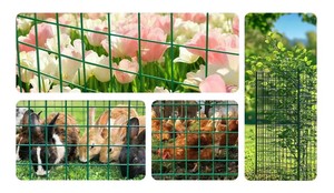 PVC Welding Wire <b>Mesh</b> Coated with <b>Plastic</b> Iron Wire <b>Mesh</b> Is Used As a Protective Net for Poultry Farming. - Product Image 3