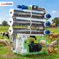 Línea de Producción de Pienso para Animales Automática con PLC de 10-25 TPH para Plantas de Fabricación de Pienso para Ganado, Aves y Peces, con Certificación CE e ISO