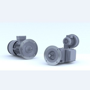 Motor de CA trifásico Winkelmann con montaje de brida totalmente encapsulado para bancos de pruebas y máquinas especiales - Product Image 3