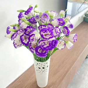 Suministro Directo de Kunming, <span class=keywords><strong>Eustoma</strong></span> <span class=keywords><strong>Grandiflorum</strong></span> Fresca Recién Cortada con Capullos, Decoración Floral, 8-13 Ramas/Unidad - Product Image 3