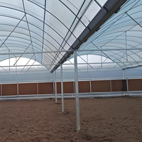 Projet clé en main de serre commerciale de grande taille pour tomates et fraises avec film PE, structure en acier et couverture transparente - Équipement agricole
