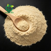 Extrait de levure de qualité alimentaire en vrac, enrichi en fer, en poudre