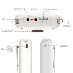 Amplificateur vocal portable adapté, haut-parleur 10W, amplificateur vocal portable avec microphone, mini amplificateur pour enseignants - Product Image 3