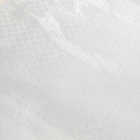 Tissu de rideau transparent brodé moderne, vente en gros au mètre pour draperie de fenêtre décorative contemporaine