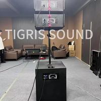 Altavoces Activos de Arreglo Lineal TG ST8 de 12 Pulgadas, Sonido para Conciertos, Bodas, Escenarios, Sistema de Sonido de Alta Potencia