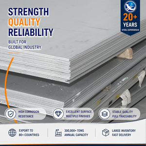 304 316L Bead Blasted 6.0mm 1500mm 5x10' Precision ASTM A240 Stainless Steel Sheet for Heat Exchanger - Product Image 1