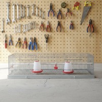 Cage d'élevage de type A pour poulets, directement de l'usine, système de pouponnière portable facile à assembler pour petites exploitations
