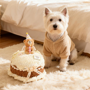 Oso de Peluche Creativo con Forma de Pastel de Cumpleaños, Almohada Suave, Juguete de Peluche, Regalo para Niños - Product Image 1