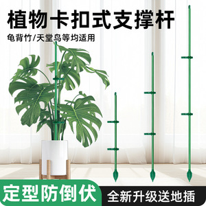Piquets de Soutien pour Plantes Autonomes, Revêtement Plastique, Anti-Basculement, Accessoires de Jardinage - Product Image 4