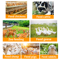 Hachoir à légumes en acier inoxydable 220V pour usage domestique, machine à hacher le poulet, le canard, l'oie, la volaille, le fourrage, le broyeur d'herbe
