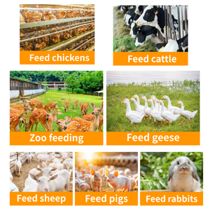 Hachoir à légumes en acier inoxydable 220V pour usage domestique, machine à hacher le poulet, le canard, l'oie, la volaille, le fourrage, le broyeur d'herbe - Product Image 5