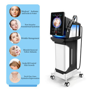 Fabbrica originale portatile senza aghi pelle che stringe la cura del cuoio capelluto danneggiato riparazione cellulare danneggiato macchina per la riparazione del viso di bellezza - Product Image 5