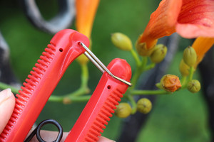 Ciseaux d'élagage pour plantes <span class=keywords><strong>de</strong></span> jardin Sécateur pour arbres à raisins Ciseaux d'élagage pour arbustes - Product Image 6