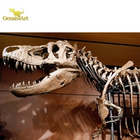 Dinosaur Park squelette de dinosaure grandeur nature à vendre dinosaures musée squelette réplique