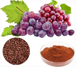 Bubuk Ekstrak Biji Anggur Antioksidan Alami Non-GMO untuk Dewasa Kemasan Dapat Disesuaikan 2 Tahun - Product Image 2