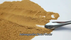 <span class=keywords><strong>Poudre</strong></span> d'extrait d'<span class=keywords><strong>Ashwagandha</strong></span> de haute qualité 5% Withanolides - Product Image 4