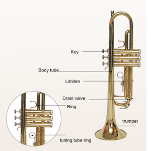 Trompette professionnelle de petite taille en or B-Tone, instrument de haute qualité - Product Image 2