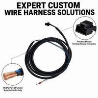 Rangkaian Kabel Elektronik Internal 28awg hingga 14awg Perakitan Kabel Tembaga untuk Konektivitas Peralatan Rumah Tangga dan Papan PCB