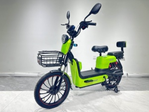 Vélo électrique 48V avec moteur économe en énergie de 500 watts, vélo électrique intelligent nouvelle génération (batterie non incluse) - Product Image 2