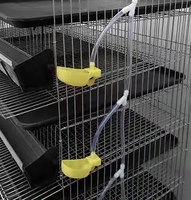 Nouvelle Cage à Cailles Commerciale en Acier Galvanisé Durable et Écologique, Conception Type H, Batterie Avicole Automatisée 6 Niveaux, Capacité 360