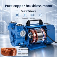 Pompe de transfert d'essence en fonte antidéflagrante à haut débit 12V/24V/220V, distributeur de carburant monté sur véhicule, pompe de transfert d'huile, garantie 1 an