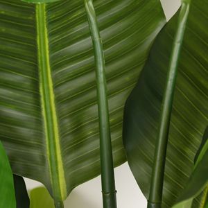 Plante artificielle Heliconia en pot, style rustique naturel, grande verdure, sur pied, en plastique PU, 100-200 cm, pour salon - Product Image 4